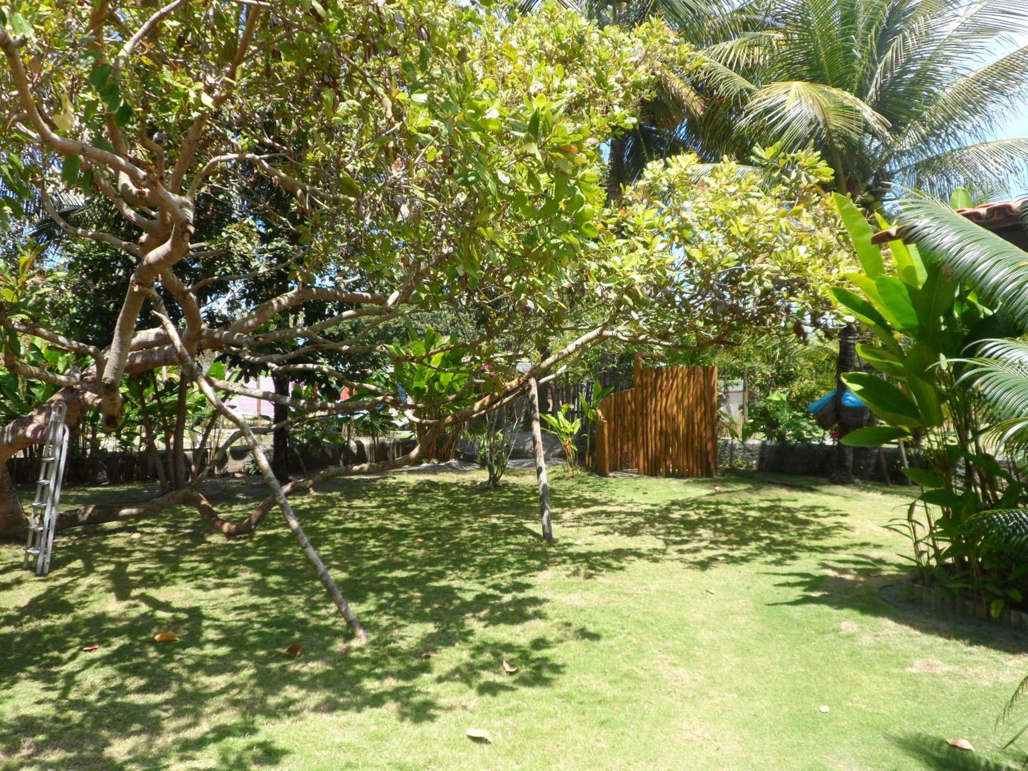 Cais Dourado Pousada Barra Grande  Ngoại thất bức ảnh